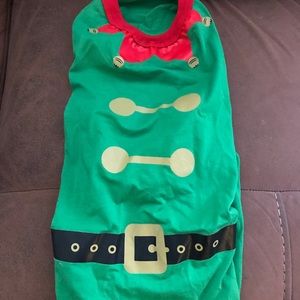 Adorable doggy elf costume.
